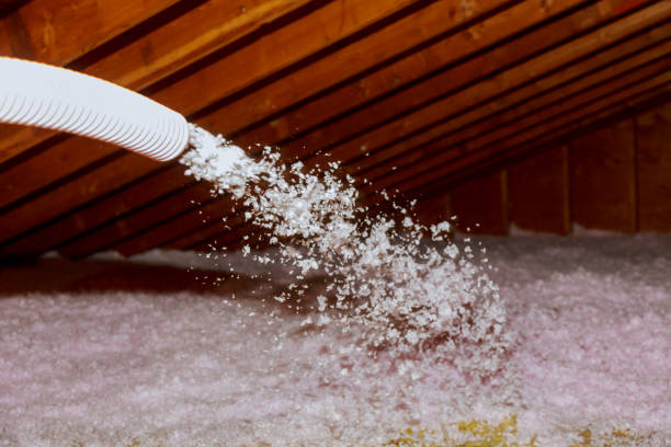 Best Affordable Insulation Services  in Manson, IA