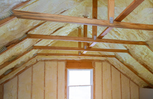 Best Home Insulation Services  in Manson, IA