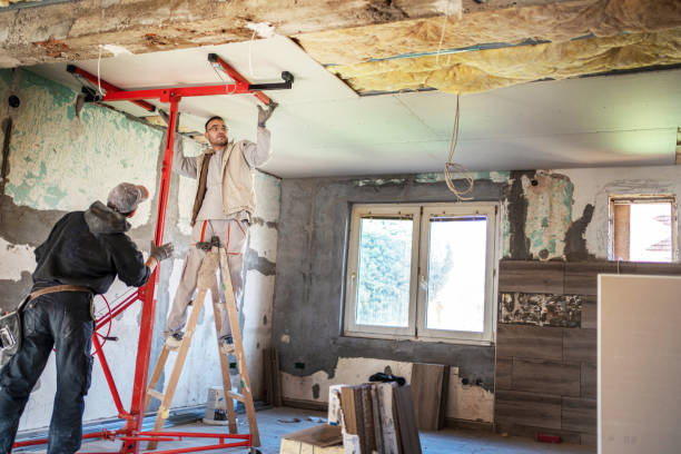 Best Attic Insulation Installation  in Manson, IA