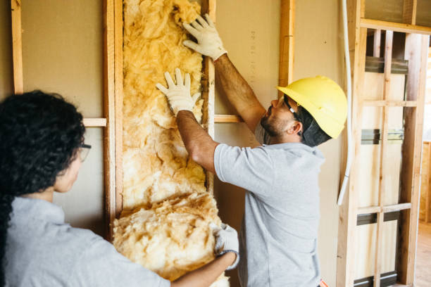 Best Cellulose Insulation  in Manson, IA