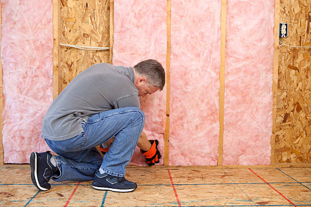 Best Insulation Contractor Near Me  in Manson, IA