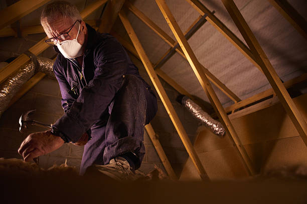 Best Attic Insulation Installation  in Manson, IA