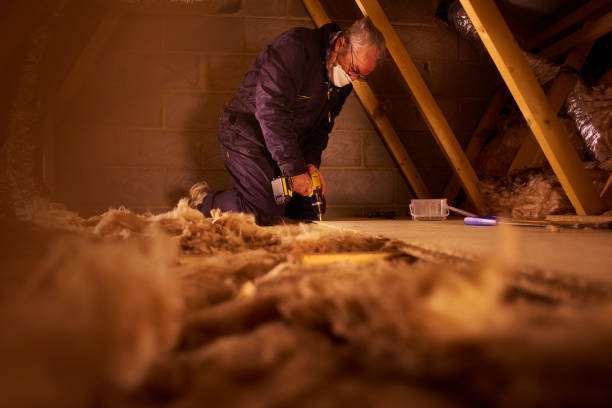 Best Crawl Space Insulation  in Manson, IA