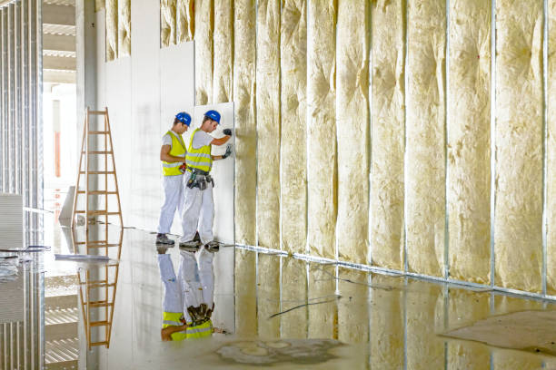 Insulation Replacement Services in Manson, IA
